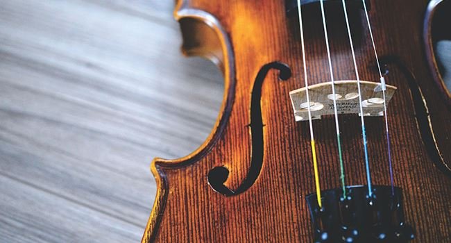 Die Seiten einer Violine.