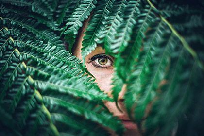 (c) Quentin Lagache on Unsplash (c) Quentin Lagache on Unsplash