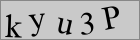 Sicherheitscode