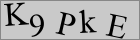 Sicherheitscode