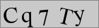 Sicherheitscode