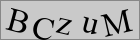 Sicherheitscode