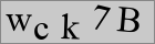Sicherheitscode
