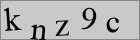 Sicherheitscode