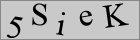 Sicherheitscode