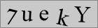 Sicherheitscode