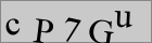 Sicherheitscode