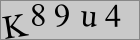 Sicherheitscode
