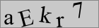 Sicherheitscode