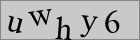 Sicherheitscode