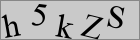 Sicherheitscode