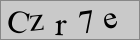 Sicherheitscode