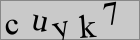 Sicherheitscode