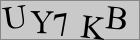 Sicherheitscode