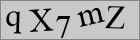Sicherheitscode