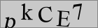 Sicherheitscode