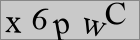 Sicherheitscode