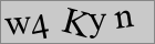 Sicherheitscode