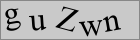 Sicherheitscode