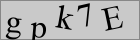Sicherheitscode