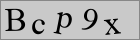 Sicherheitscode