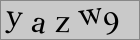 Sicherheitscode