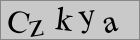 Sicherheitscode