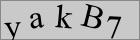 Sicherheitscode