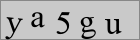 Sicherheitscode