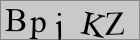 Sicherheitscode