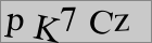 Sicherheitscode