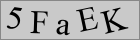 Sicherheitscode
