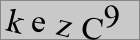 Sicherheitscode