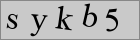 Sicherheitscode