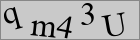 Sicherheitscode