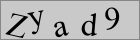 Sicherheitscode
