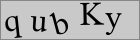 Sicherheitscode