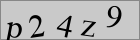 Sicherheitscode