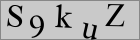 Sicherheitscode