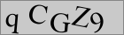 Sicherheitscode