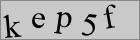 Sicherheitscode