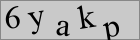Sicherheitscode