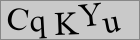 Sicherheitscode