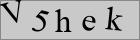 Sicherheitscode