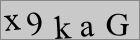 Sicherheitscode
