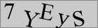 Sicherheitscode