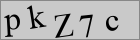 Sicherheitscode