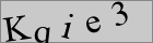 Sicherheitscode
