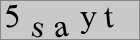 Sicherheitscode