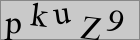 Sicherheitscode